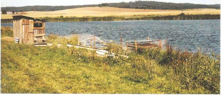 Farský rybník v roce 1998